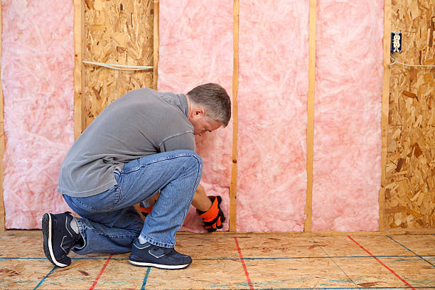 Best Insulation Maintenance and Repair in Sealy, TX