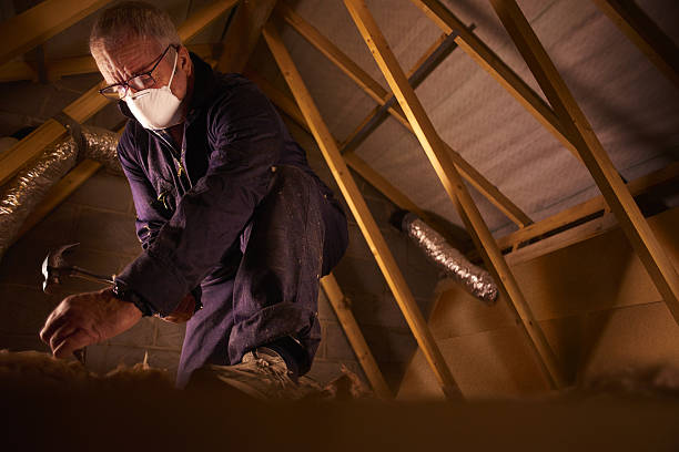 Best Blown-in Insulation in Sealy, TX