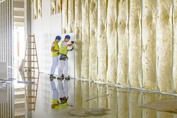 Best Residential Insulation in Sealy, TX